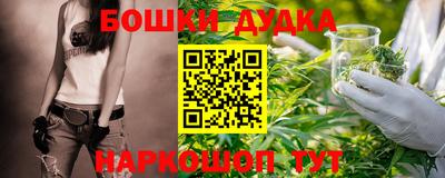 прущие крисы Славгород