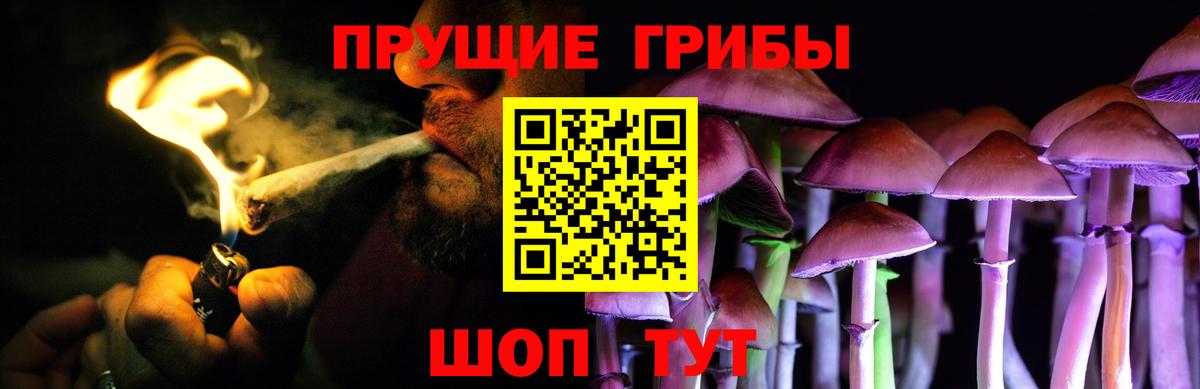 Псилоцибиновые грибы MAGIC MUSHROOMS  Вход с VPN  Галлюциногенные грибы MAGIC MUSHROOMS  Астрахань 